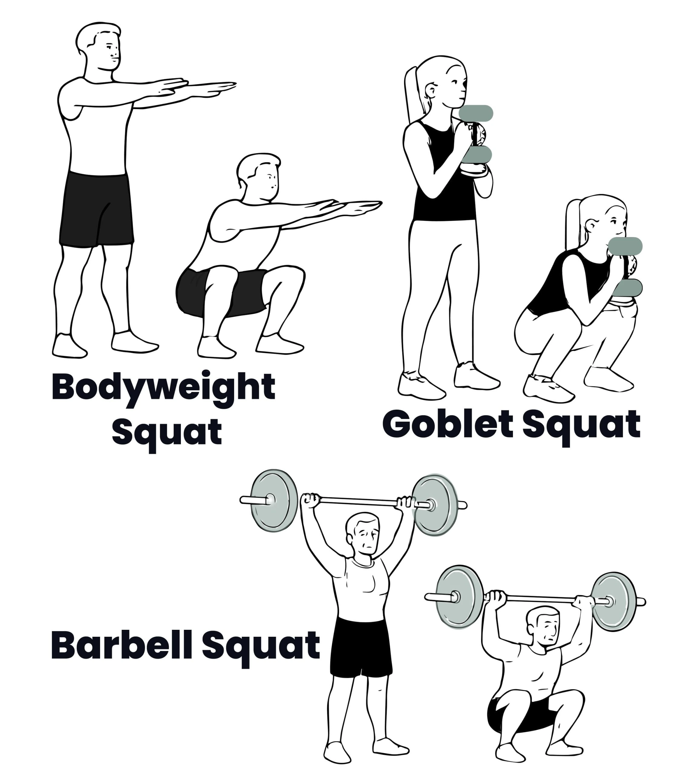 Squat Variations