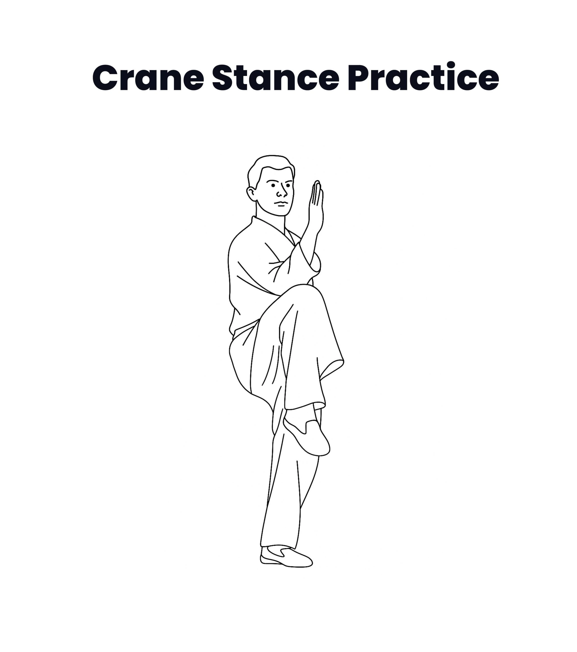 Crane Stance Practice