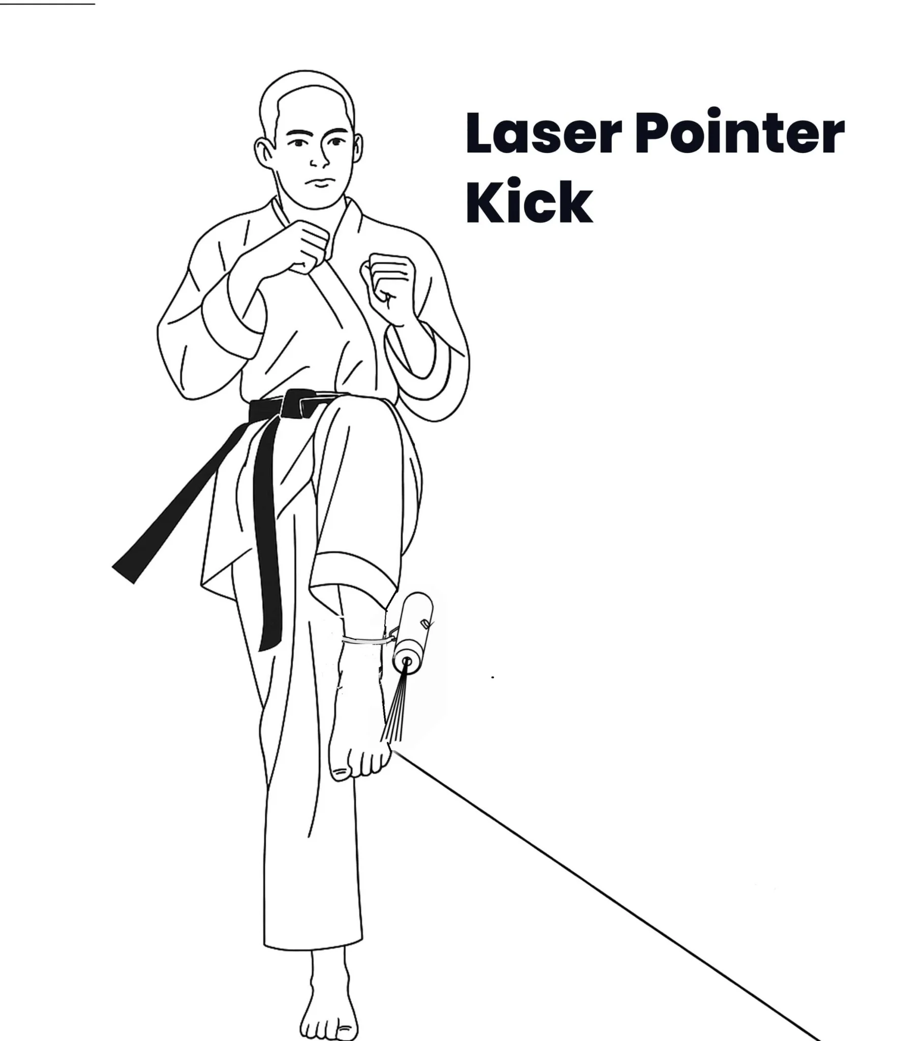 Laser Pointer Kicks