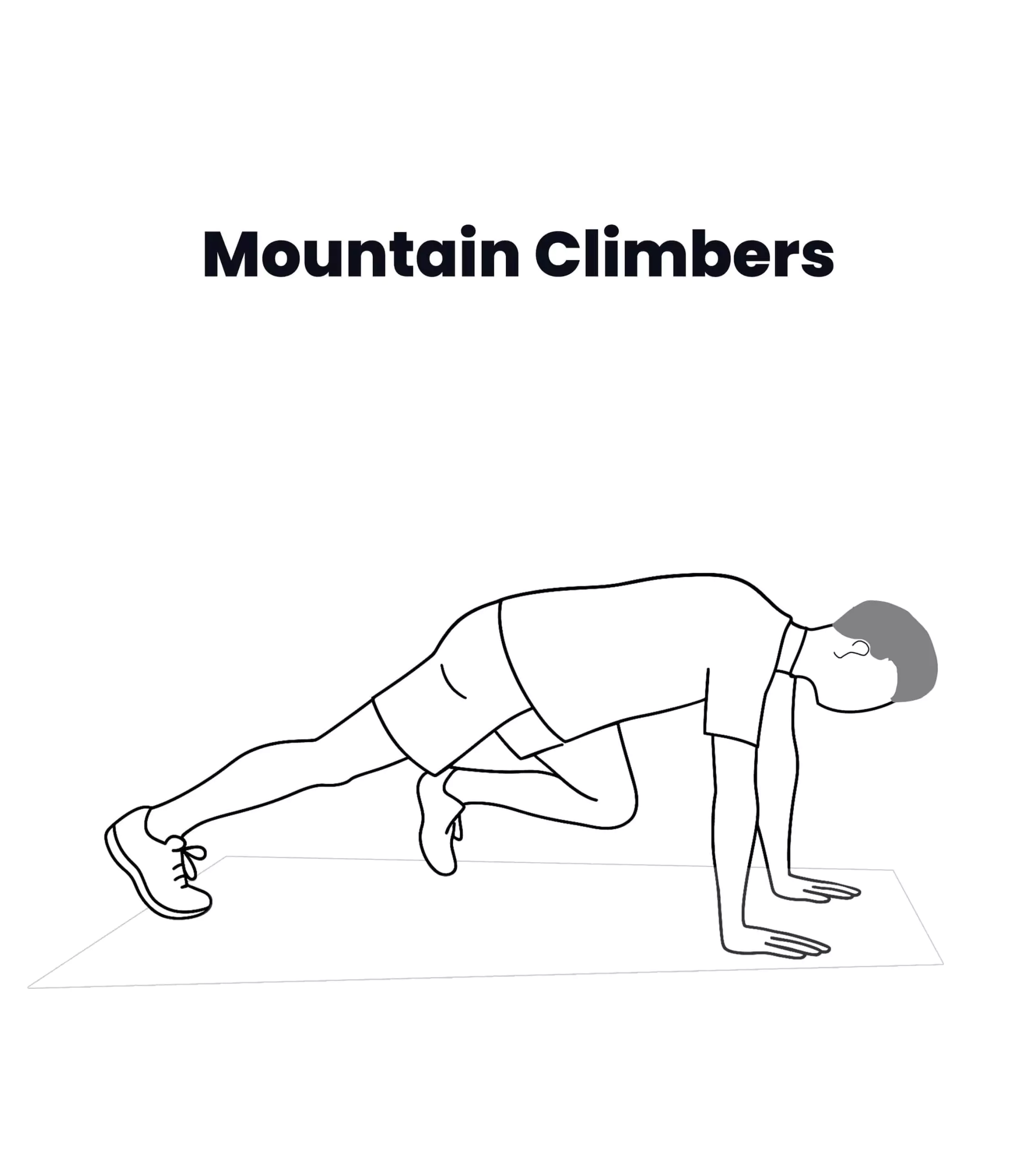 Mountain Climbers