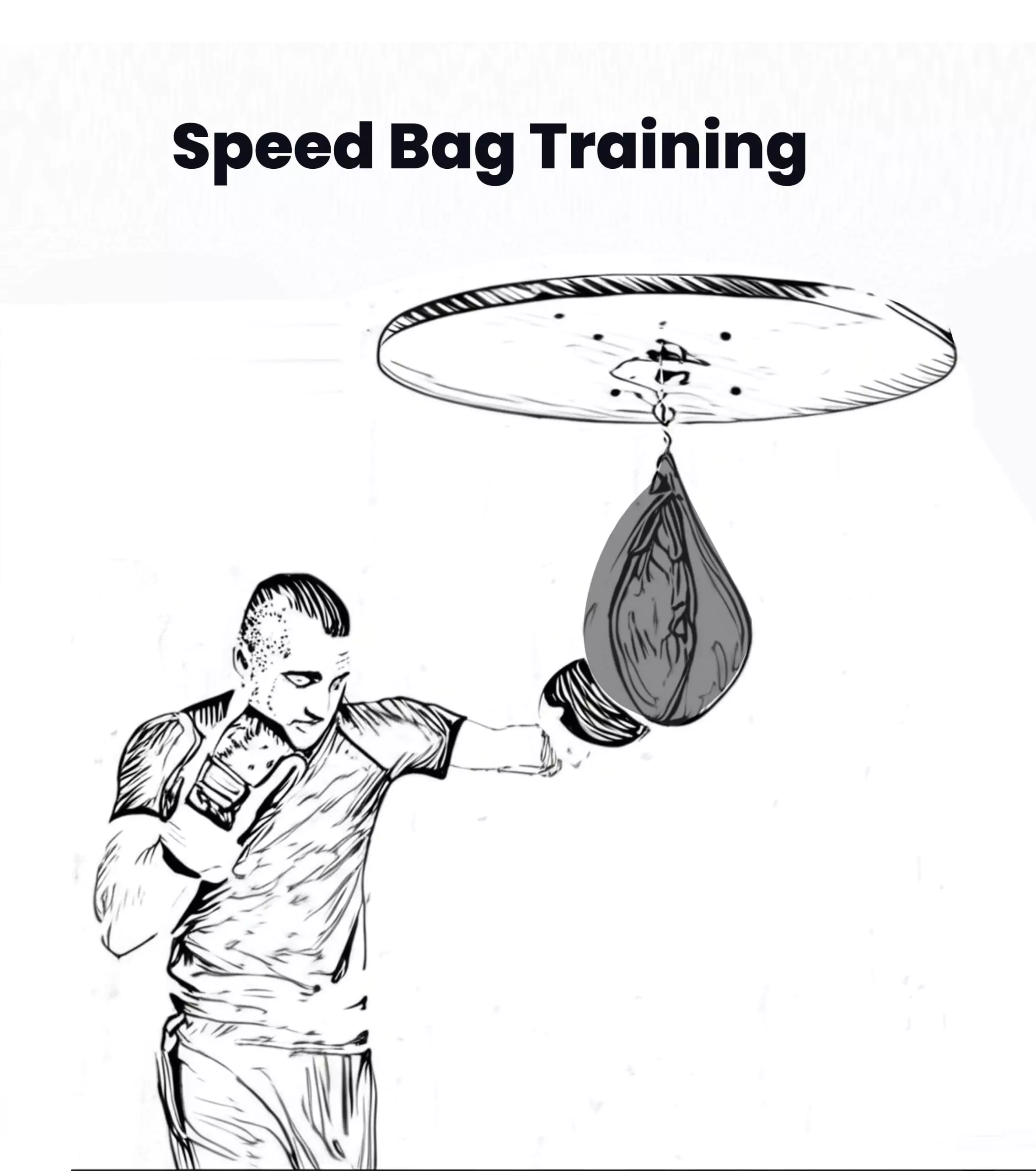 Speed Bag Training